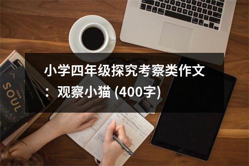 小學(xué)四年級(jí)探究考察類作文：觀察小貓 (400字)