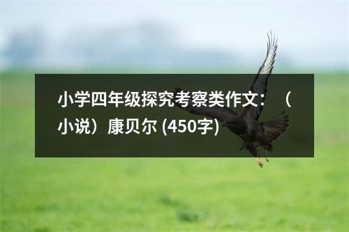 小學(xué)四年級(jí)探究考察類作文：（小說(shuō)）康貝爾 (450字)