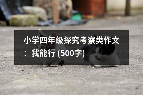 小學四年級探究考察類作文：我能行 (500字)