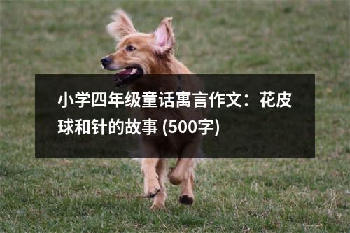 小學(xué)四年級(jí)童話寓言作文：花皮球和針的故事 (500字)