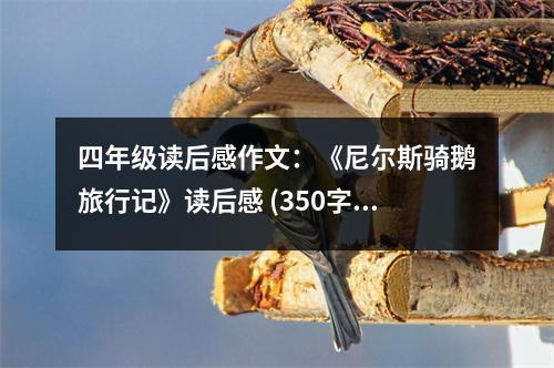 四年級(jí)讀后感作文：《尼爾斯騎鵝旅行記》讀后感 (350字)