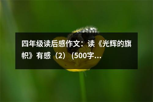 四年級讀后感作文：讀《光輝的旗幟》有感（2） (500字)