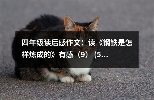 四年級讀后感作文：讀《鋼鐵是怎樣煉成的》有感（9） (500字)