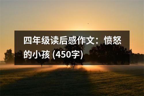 四年級讀后感作文：憤怒的小孩 (450字)