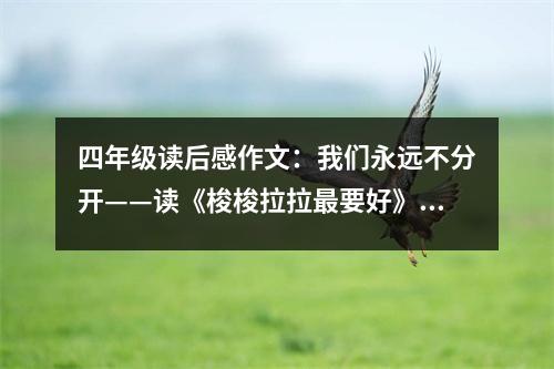 四年級(jí)讀后感作文：我們永遠(yuǎn)不分開(kāi)——讀《梭梭拉拉最要好》有感 (500字)