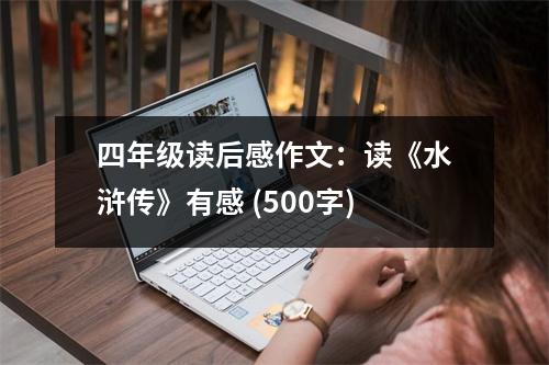 四年級讀后感作文：讀《水滸傳》有感 (500字)