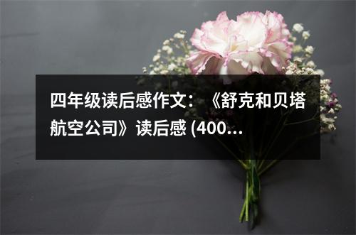 四年級讀后感作文：《舒克和貝塔航空公司》讀后感 (400字)
