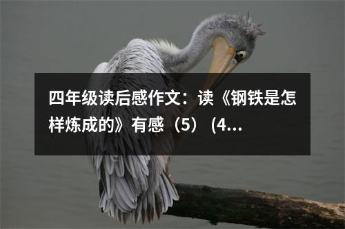 四年級讀后感作文：讀《鋼鐵是怎樣煉成的》有感（5） (400字)