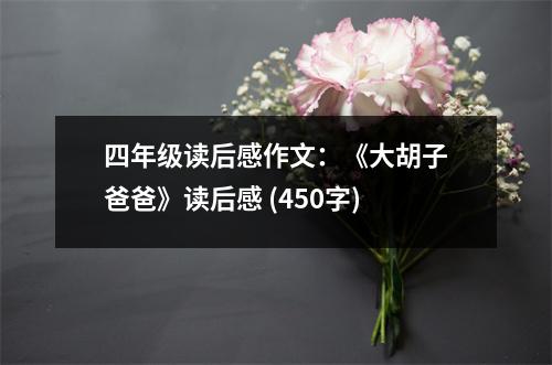 四年級讀后感作文：《大胡子爸爸》讀后感 (450字)