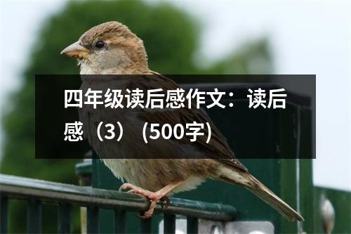 四年級(jí)讀后感作文：讀后感（3） (500字)