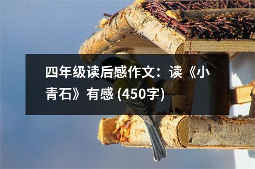 四年級(jí)讀后感作文：讀《小青石》有感 (450字)