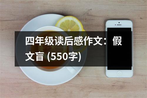 四年級讀后感作文：假文盲 (550字)