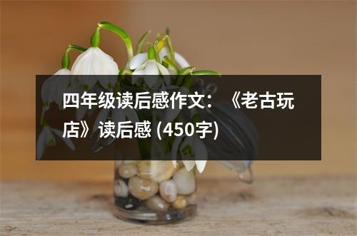 四年級讀后感作文：《老古玩店》讀后感 (450字)