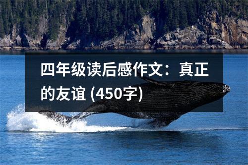 四年級(jí)讀后感作文：真正的友誼 (450字)