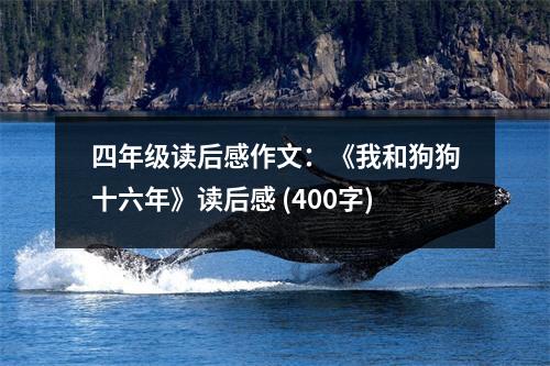 四年級讀后感作文：《我和狗狗十六年》讀后感 (400字)