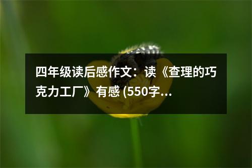 四年級讀后感作文：讀《查理的巧克力工廠》有感 (550字)