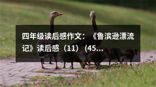 四年級讀后感作文：《魯濱遜漂流記》讀后感（11） (450字)