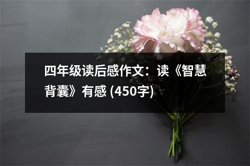 四年級讀后感作文：讀《智慧背囊》有感 (450字)