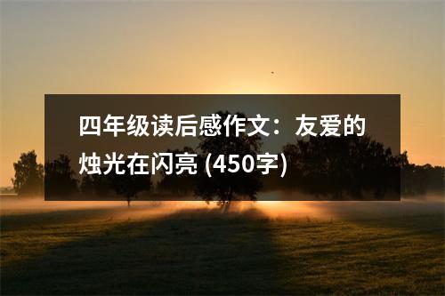 四年級讀后感作文：友愛的燭光在閃亮 (450字)