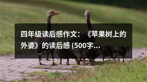 四年級讀后感作文：《蘋果樹上的外婆》的讀后感 (500字)