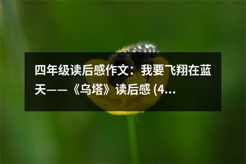 四年級讀后感作文：我要飛翔在藍天——《烏塔》讀后感 (450字)
