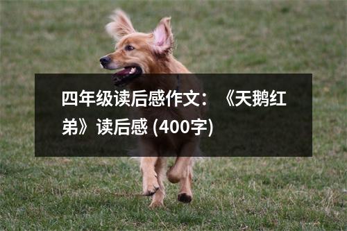 四年級(jí)讀后感作文：《天鵝紅弟》讀后感 (400字)