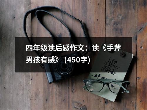 四年級讀后感作文：讀《手斧男孩有感》 (450字)