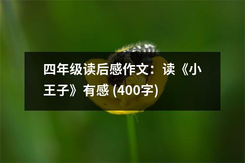 四年級(jí)讀后感作文：讀《小王子》有感 (400字)