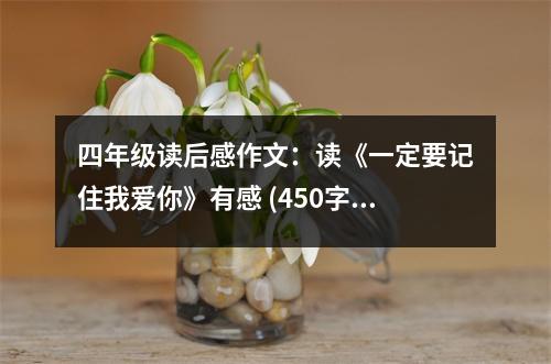 四年級(jí)讀后感作文：讀《一定要記住我愛(ài)你》有感 (450字)