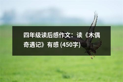 四年級讀后感作文：讀《木偶奇遇記》有感 (450字)