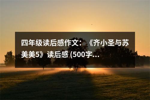 四年級讀后感作文：《齊小圣與蘇美美5》讀后感 (500字)
