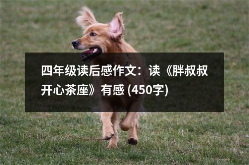 四年級(jí)讀后感作文：讀《胖叔叔開心茶座》有感 (450字)