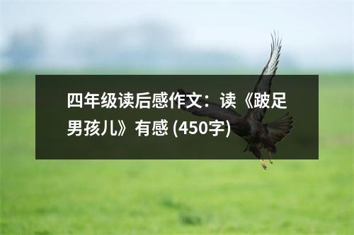 四年級讀后感作文：讀《跛足男孩兒》有感 (450字)