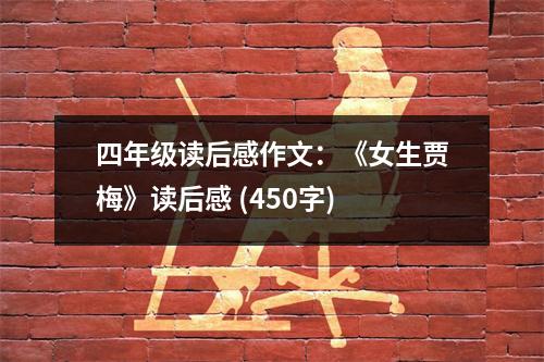 四年級(jí)讀后感作文：《女生賈梅》讀后感 (450字)