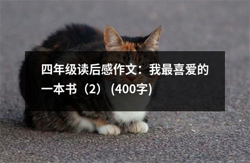四年級讀后感作文：我最喜愛的一本書（2） (400字)