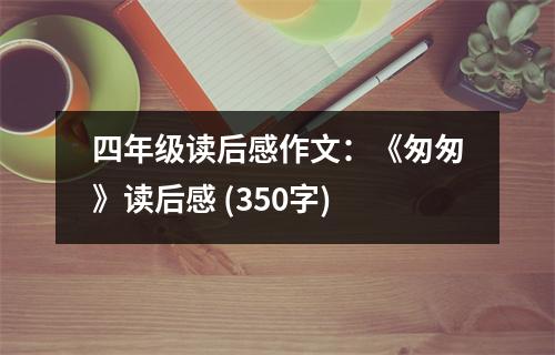 四年級讀后感作文：《匆匆》讀后感 (350字)
