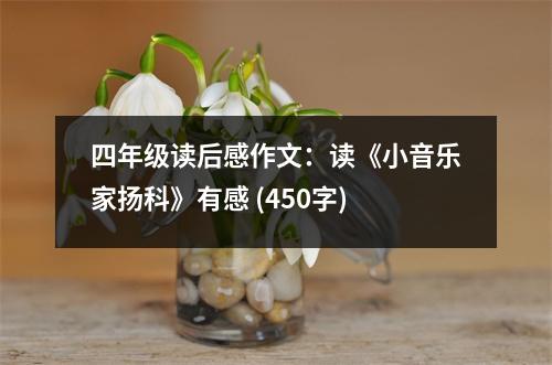 四年級(jí)讀后感作文：讀《小音樂(lè)家揚(yáng)科》有感 (450字)