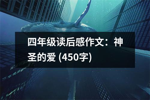 四年級讀后感作文：神圣的愛 (450字)