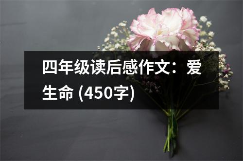 四年級讀后感作文：愛生命 (450字)