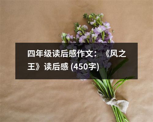 四年級讀后感作文：《風(fēng)之王》讀后感 (450字)
