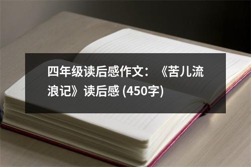 四年級讀后感作文：《苦兒流浪記》讀后感 (450字)