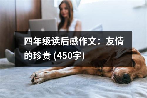 四年級(jí)讀后感作文：友情的珍貴 (450字)