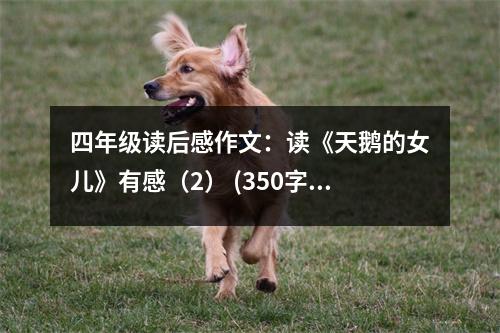 四年級(jí)讀后感作文：讀《天鵝的女兒》有感（2） (350字)