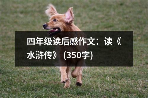 四年級(jí)讀后感作文：讀《水滸傳》 (350字)