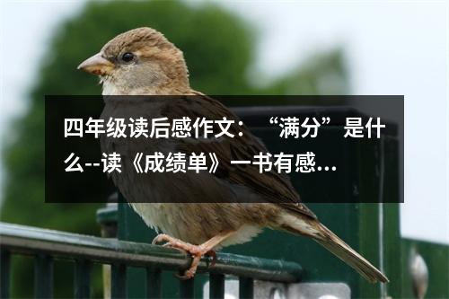 四年級讀后感作文：“滿分”是什么--讀《成績單》一書有感 (500字)