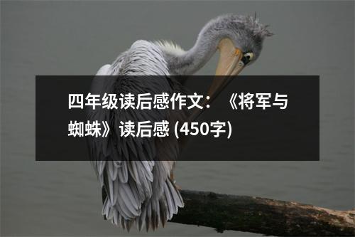 四年級(jí)讀后感作文：《將軍與蜘蛛》讀后感 (450字)