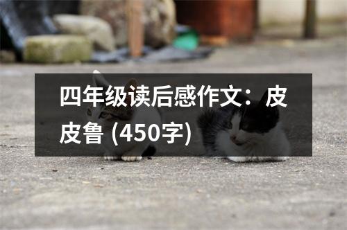 四年級讀后感作文：皮皮魯 (450字)