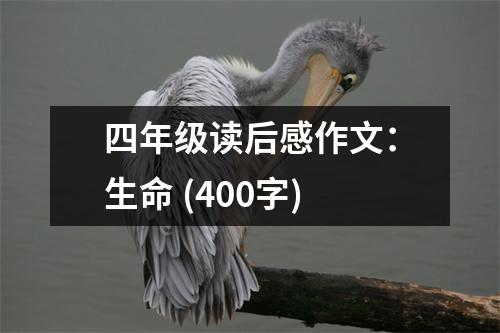 四年級(jí)讀后感作文：生命 (400字)