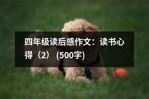 四年級讀后感作文：讀書心得（2） (500字)