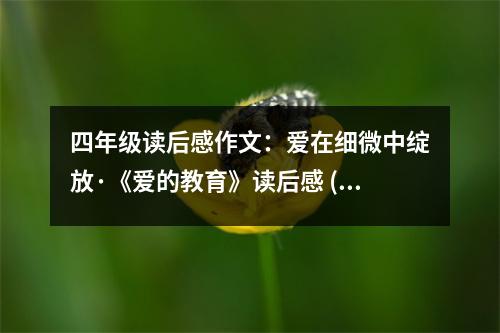 四年級(jí)讀后感作文：愛在細(xì)微中綻放·《愛的教育》讀后感 (450字)